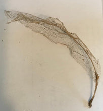 Load image into Gallery viewer, Crying Tree: Lynching Memorial Locket Necklace (PURCHASE REQUIRES CALL--SEE BELOW)